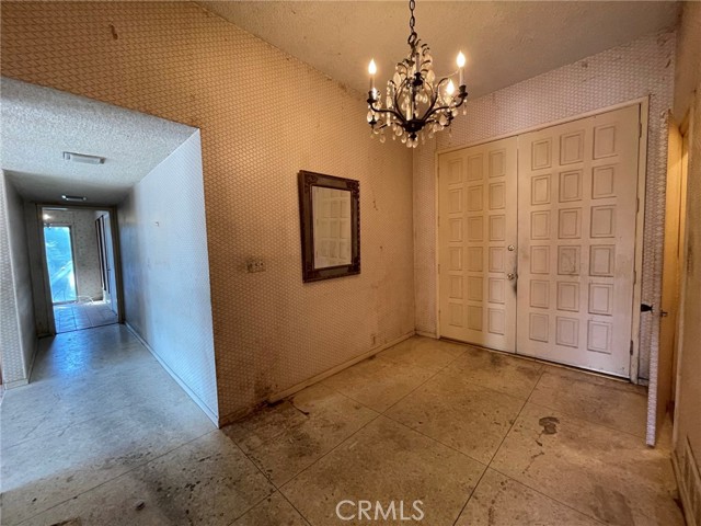 11300 Dona Lisa Drive photo 6