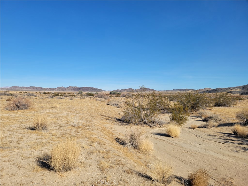 MLS #HD25267066 image #12