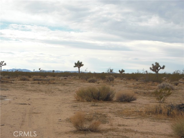 6113 Napa (@ Rainbow), Landers CA: https://media.crmls.org/medias/36cbfb4f-0892-4b37-84ce-cd0088ef1b64.jpg