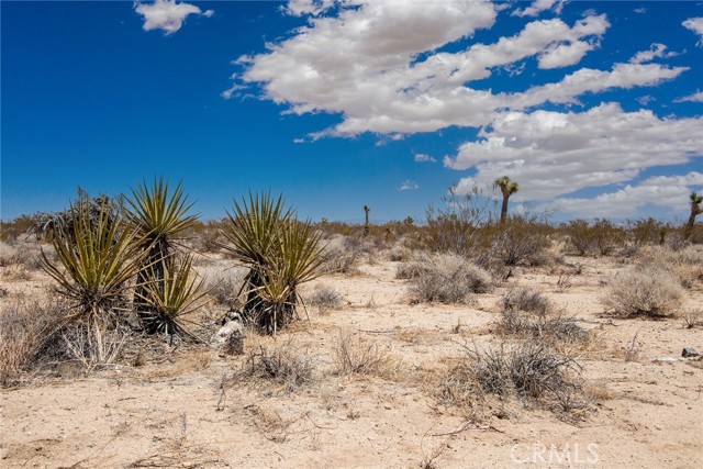 Detail Gallery Image 5 of 6 For 3000 Celeste Rd, Joshua Tree,  CA 92252 - – Beds | – Baths