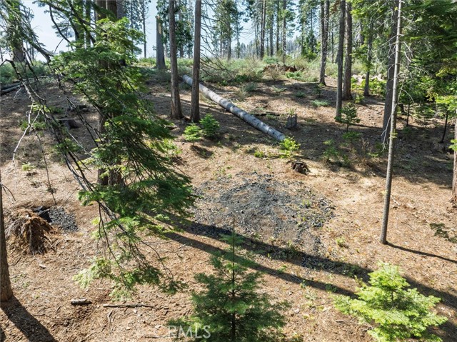 Detail Gallery Image 55 of 71 For 7604 Summit Rd, Fish Camp,  CA 93623 - 4 Beds | 3 Baths
