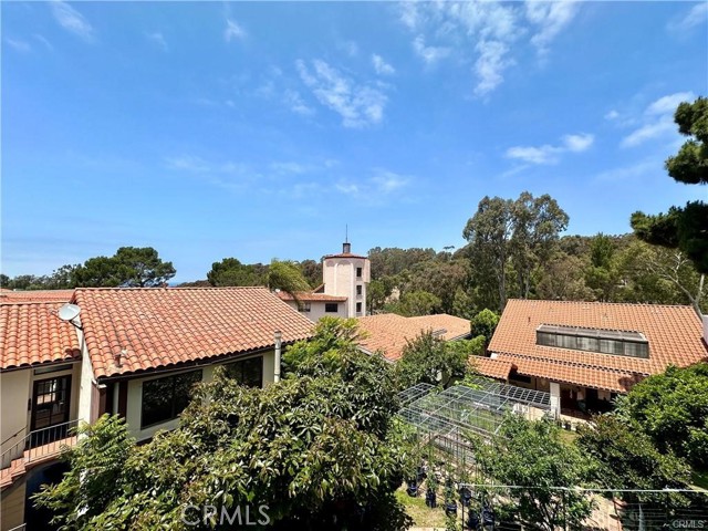 2545 Via Campesina, Palos Verdes Estates CA: https://media.crmls.org/medias/36d5f37e-e47e-4d2d-9fac-92b9baaef75b.jpg