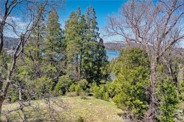 Detail Gallery Image 11 of 14 For 159 Mill Pond Rd, Lake Arrowhead,  CA 92352 - – Beds | – Baths