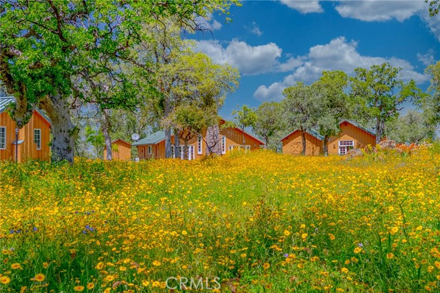 Detail Gallery Image 6 of 75 For 5873 Schilling, Coulterville,  CA 95311 - 2 Beds | 2 Baths