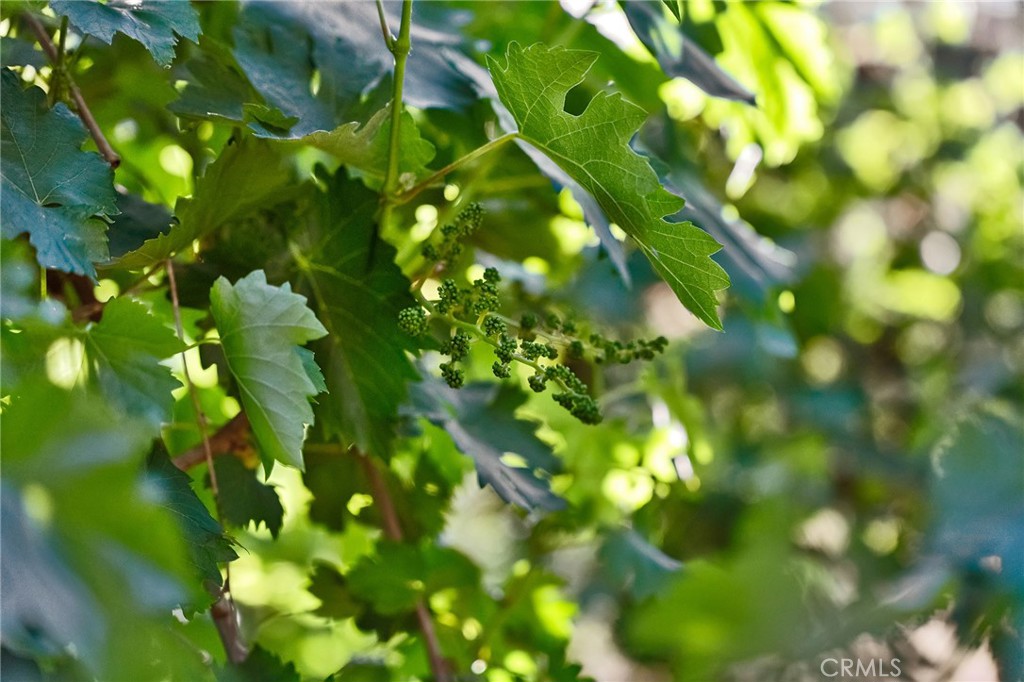 https://media.crmls.org/medias/36dd0012-0d36-4795-8e5f-4b10d3887acf.jpg?preset=X-Large