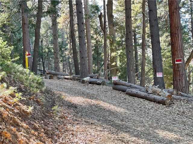 Detail Gallery Image 1 of 31 For 0 Fernland Dr, Idyllwild,  CA 92549 - – Beds | – Baths