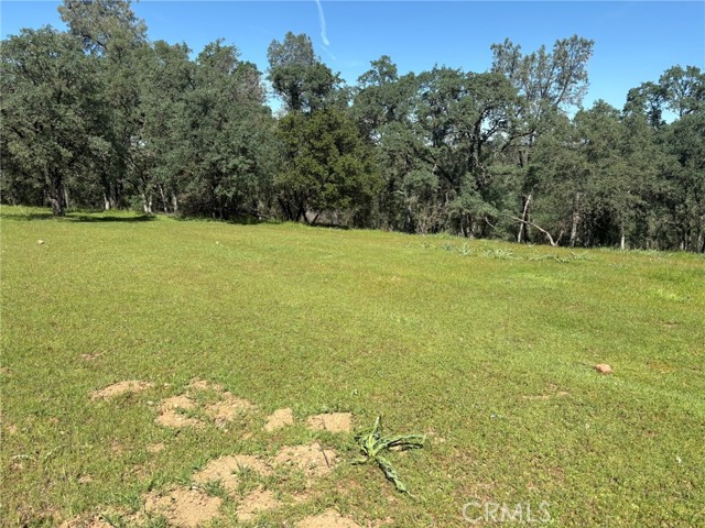 Detail Gallery Image 23 of 26 For 3465 Foothill Bld, Oroville,  CA 95966 - – Beds | – Baths