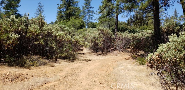 Detail Gallery Image 3 of 14 For 0 Lumberjack Road, Oroville,  CA 95965 - – Beds | – Baths