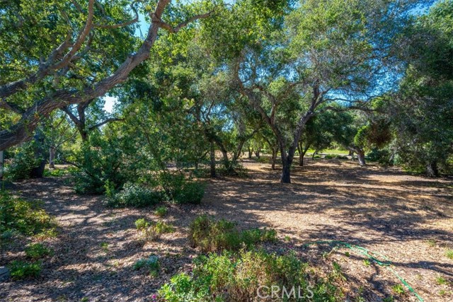 629 Shelter Ridge Place, Nipomo CA: https://media.crmls.org/medias/36e80e66-c8c7-4560-bae6-e97b7b9ac0c5.jpg