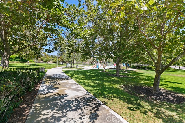 Image 37 of 52 For 28782 Bolanos