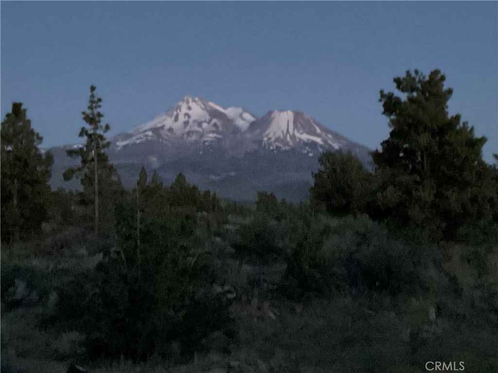 https://media.crmls.org/medias/36ed17db-f09f-440c-9cdd-d278033bd347.jpg?preset=X-Large