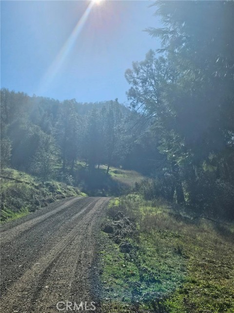 Detail Gallery Image 20 of 49 For 50814 Road 200, O Neals,  CA 93645 - 3 Beds | 3 Baths