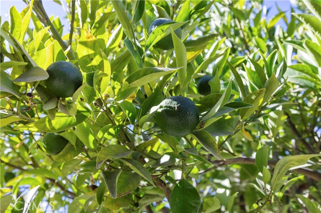 Detail Gallery Image 22 of 23 For 1543 Norwich, Thousand Oaks,  CA 91360 - 4 Beds | 3 Baths