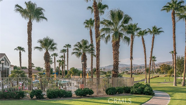 81535 Avenida De Baile, Indio CA: https://media.crmls.org/medias/36f6cfb1-cc3f-43d2-a7df-004819918887.jpg