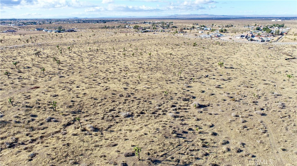 MLS #IG25034252 img 12