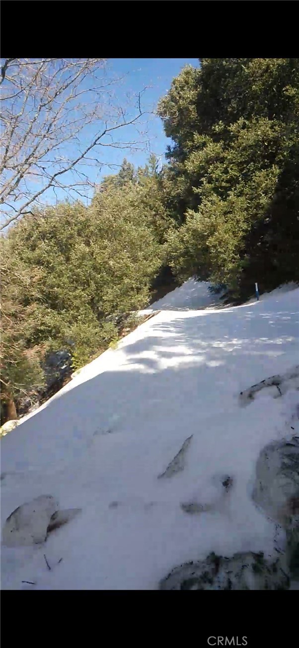 0 Saxon, Crestline CA: https://media.crmls.org/medias/370e0d0a-b257-4251-bada-dae923cc8452.jpg