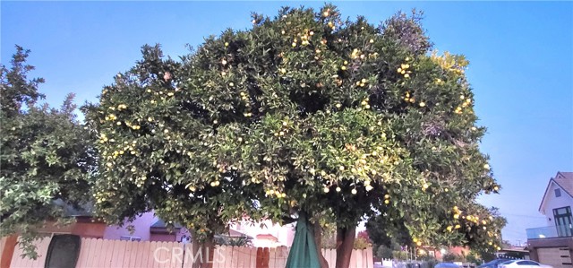 Detail Gallery Image 22 of 41 For 10181 Larson Ave, Garden Grove,  CA 92843 - 4 Beds | 4 Baths