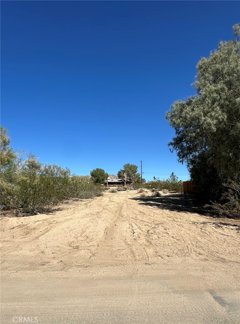 MLS #IV25254140 image #7