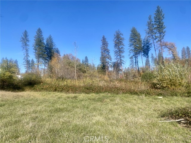 Front Image Thumbnail for CRSN25267529