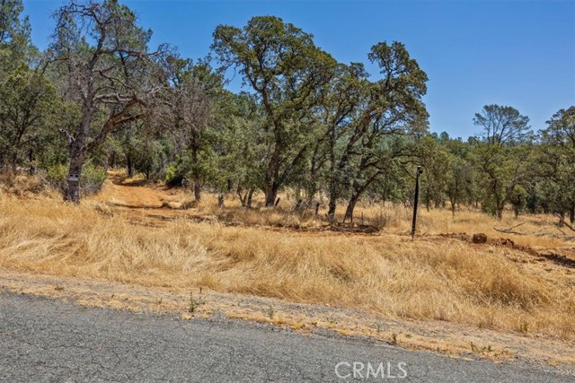 0 Highlands Boulevard, Oroville, California 95965, ,Land,For Sale,0 Highlands Boulevard,CRSN23181045