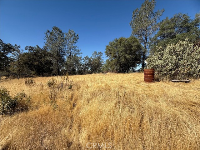 Detail Gallery Image 11 of 12 For 20 Bull Pine, Mariposa,  CA 95338 - – Beds | – Baths