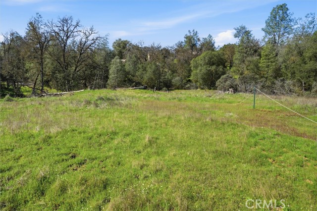 Detail Gallery Image 20 of 34 For 4251 Burl, Mariposa,  CA 95338 - – Beds | – Baths