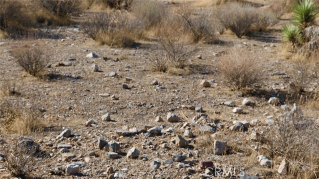 0 Juniper, Apple Valley CA: https://media.crmls.org/medias/372141f0-f851-48dc-9d86-e60ee478f277.jpg