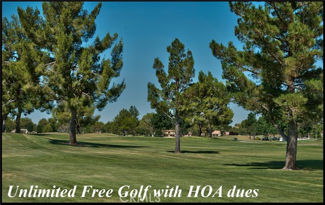  Land for Sale in Helendale, California
