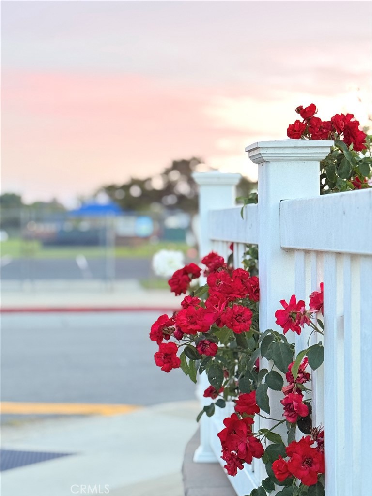 https://media.crmls.org/medias/3729e49c-08b2-4689-a7c7-50928dd86690.jpg?preset=X-Large