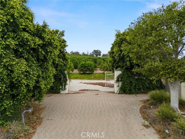 25 Encino Avenue, Camarillo CA: https://media.crmls.org/medias/372d7545-3335-436b-bbf5-c48216a981a5.jpg