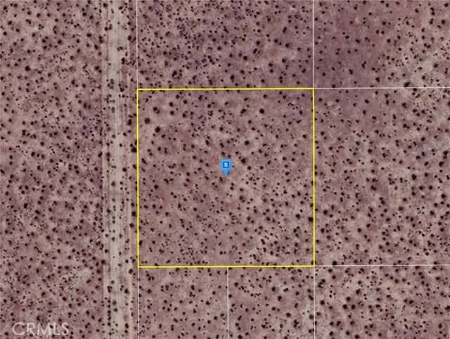 Front Image Thumbnail for CRWS25250815