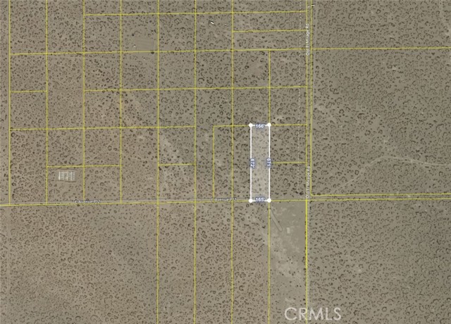 Front Image Thumbnail for CRSR26034623