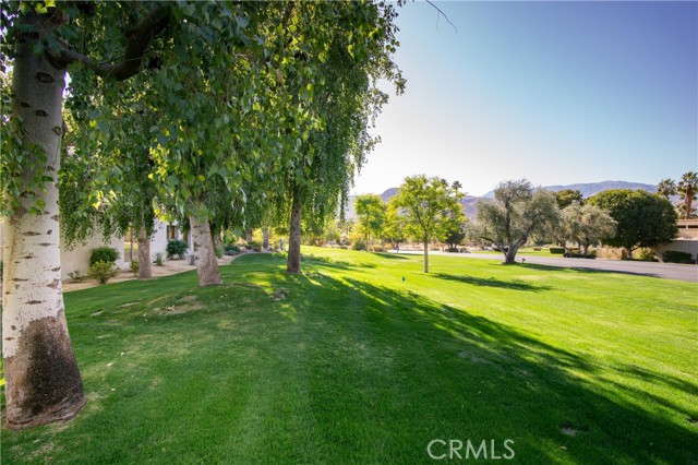 Image 5 for 35104   Mission Hills DR