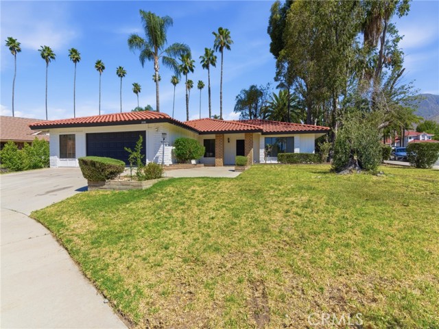 Front Image Thumbnail for CROC26085819