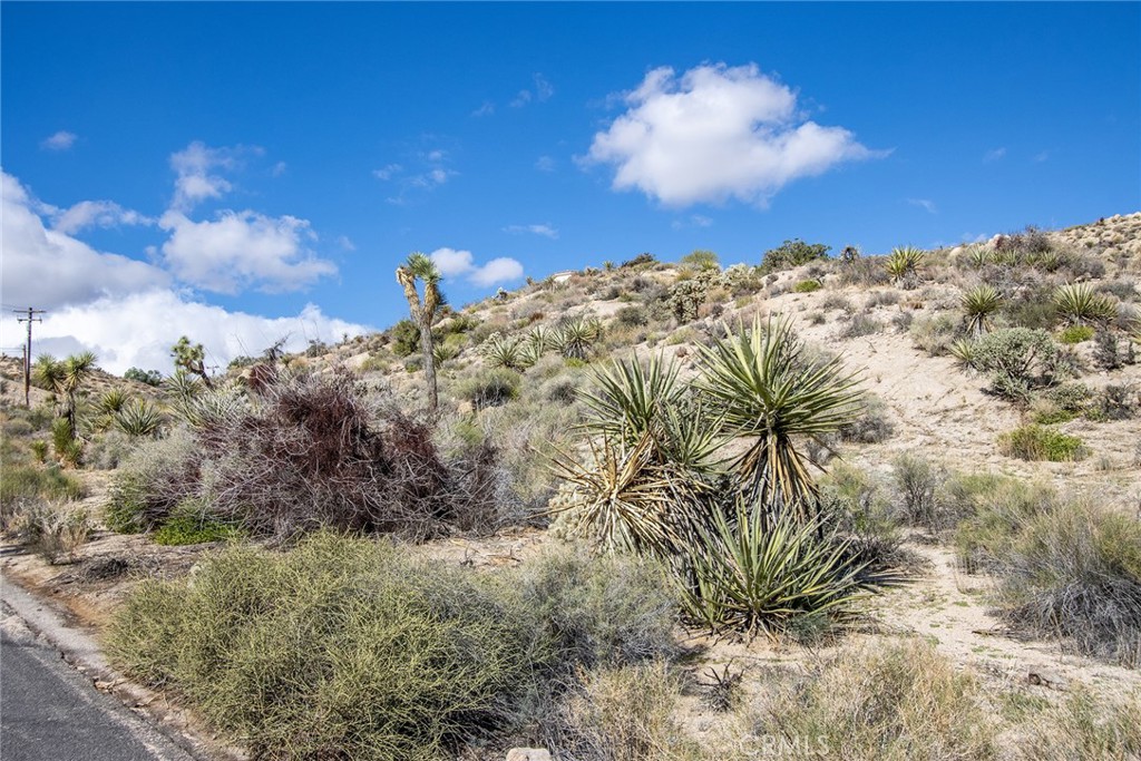 MLS #JT25264313 image #11