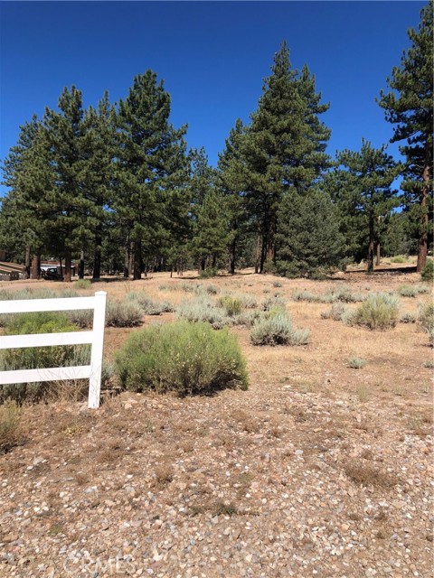 1137 Live Oak, Big Bear City, California 92314, ,Land,For Sale,1137 Live Oak,CROC24001592