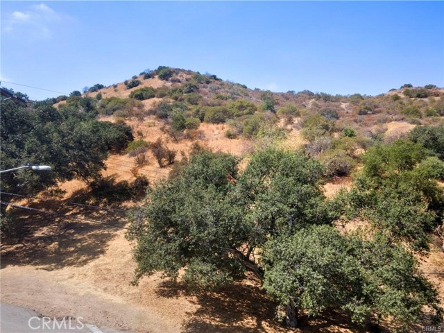 0 Wornom Avenue photo 12