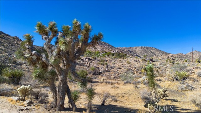 Detail Gallery Image 46 of 53 For 8775 via Rocosa Rd, Joshua Tree,  CA 92252 - 3 Beds | 2/1 Baths