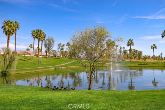 80358 Avenida Santa Alicia, Indio CA: https://media.crmls.org/medias/37494b4b-62f4-4c5e-89eb-1c83098bf6df.jpg