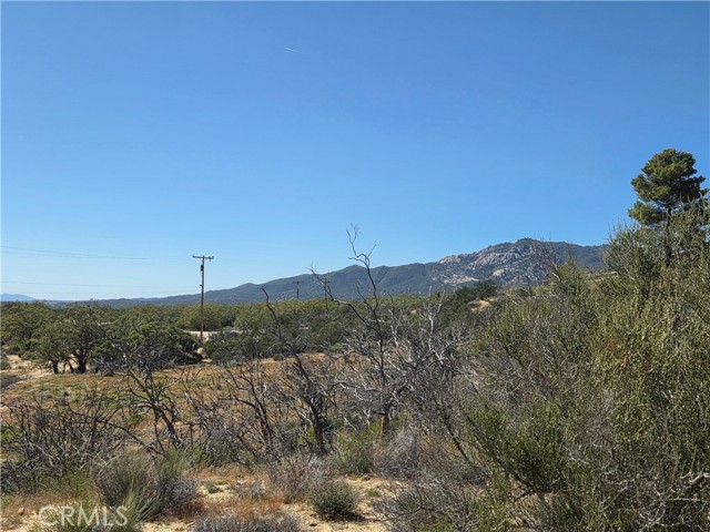 Detail Gallery Image 3 of 10 For 0 Howard, Anza,  CA 92539 - – Beds | – Baths