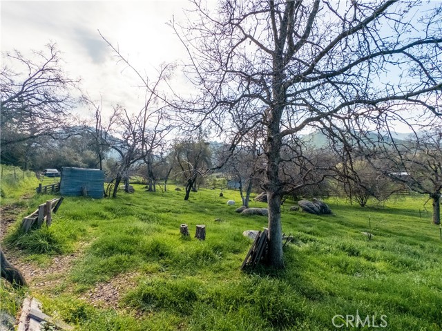 Detail Gallery Image 40 of 49 For 38758 Aster, Squaw Valley,  CA 93675 - 3 Beds | 2/1 Baths