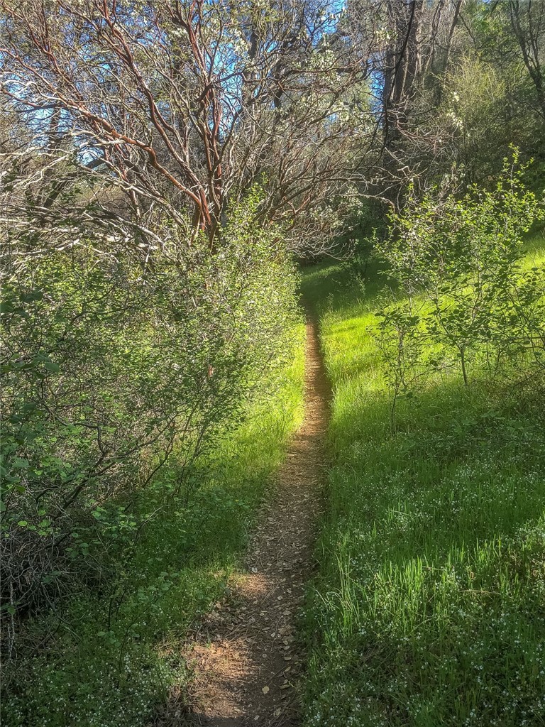 Detail Gallery Image 9 of 75 For 4743 Buffalo Gulch Rd, Midpines,  CA 95345 - – Beds | – Baths