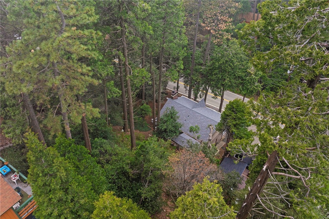 843 Fern Dr, Crestline, CA 92325 Listing Photo  54