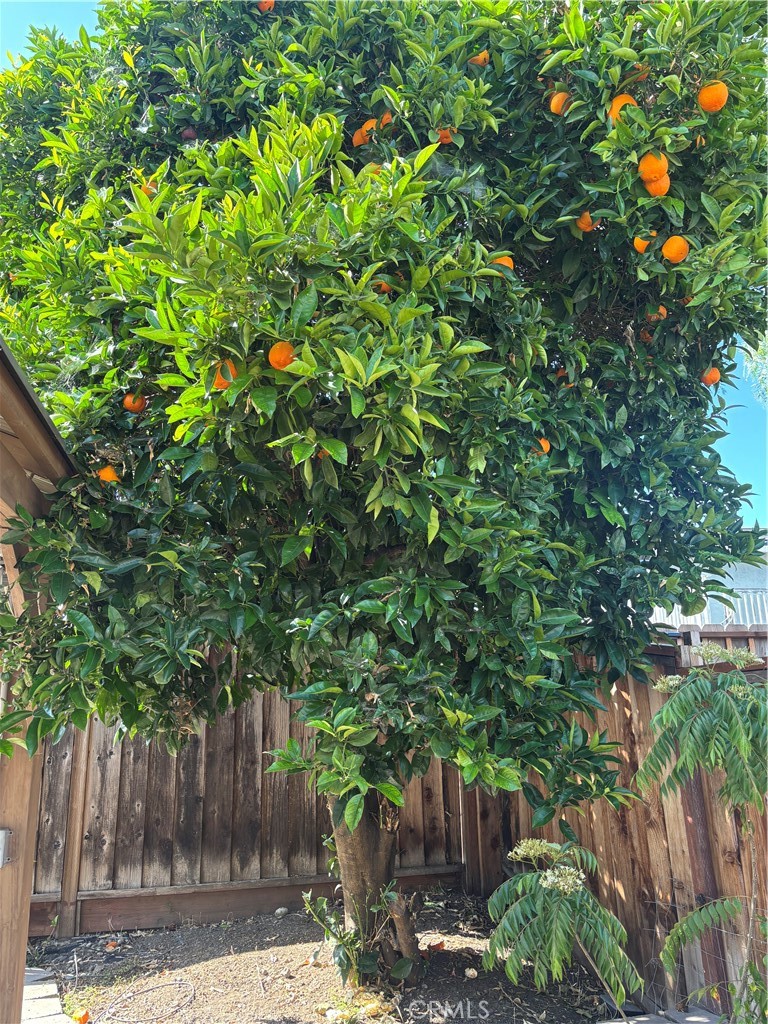 https://media.crmls.org/medias/375b31e0-8eb9-4895-8ee2-bc0d161030e6.jpg?preset=X-Large