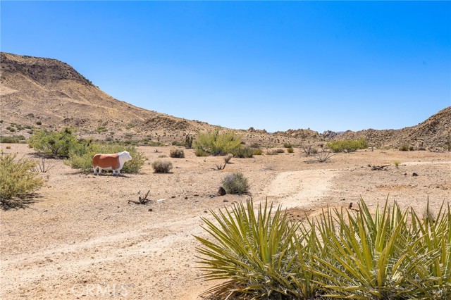 Detail Gallery Image 45 of 45 For 54559 Saratoga Rd, Pioneertown,  CA 92268 - – Beds | – Baths