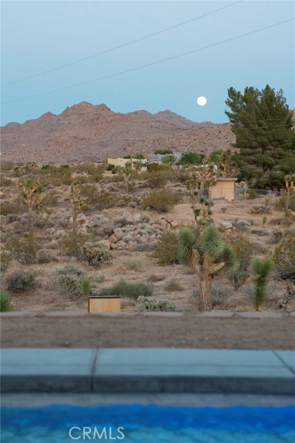Detail Gallery Image 45 of 66 For 8825 Lilley Rd, Joshua Tree,  CA 92252 - 3 Beds | 2 Baths