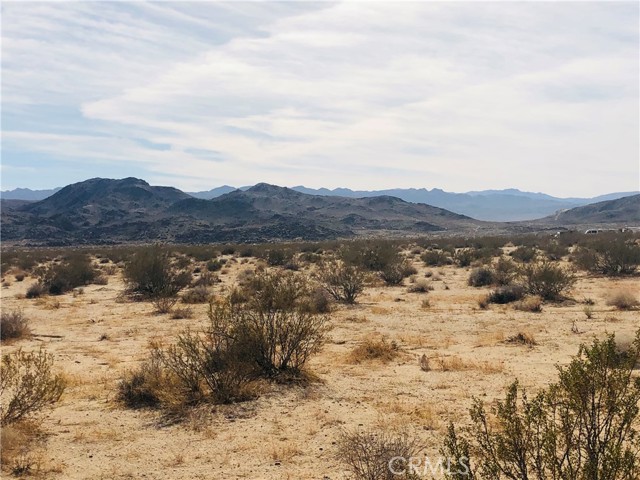 Detail Gallery Image 2 of 7 For 0 Ranier Rd, Joshua Tree,  CA 92252 - – Beds | – Baths