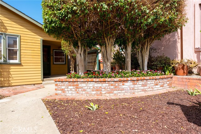 Wonderful Large Brick Planter with Shade Trees Wonderful Large Brick Planter with Shade Trees