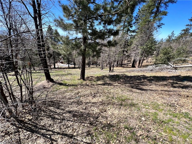 41 Fredalba Road, Running Springs, CA, 92382 41 Fredalba Road, Running Springs, CA, 92382