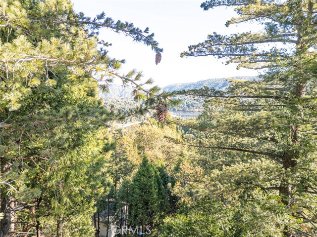 Detail Gallery Image 43 of 46 For 999 Mercury Way, Crestline,  CA 92325 - 4 Beds | 3/1 Baths